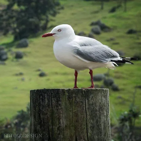 Gaestehaus Am 3* クサンテン