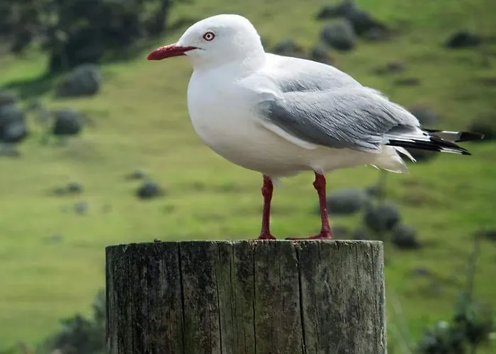 Gaestehaus Am 3* Xanten