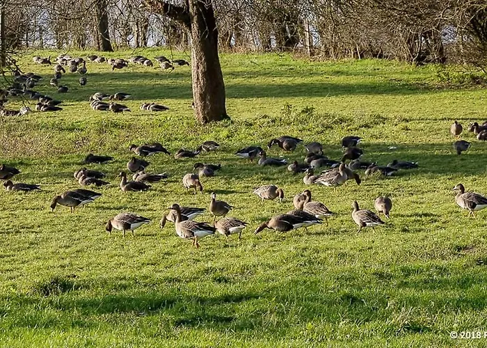 Gaestehaus Am 3* Xanten